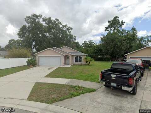 Feathering, ZEPHYRHILLS, FL 33542