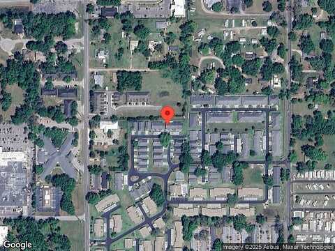 Eucalyptus, ZEPHYRHILLS, FL 33542