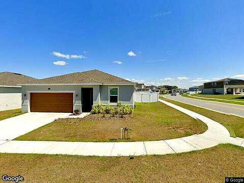 Shoveler, LEESBURG, FL 34748