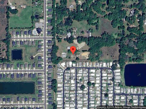 Apfel, WESLEY CHAPEL, FL 33543