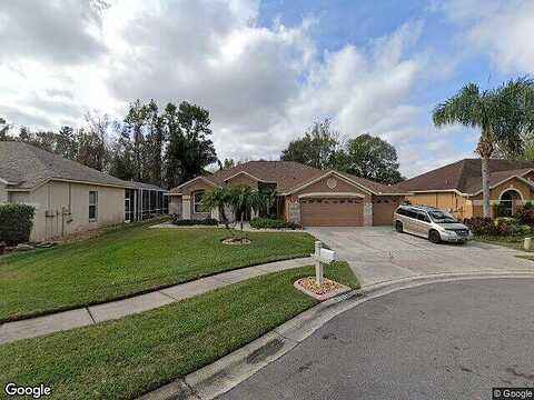 Rivergate, WESLEY CHAPEL, FL 33543