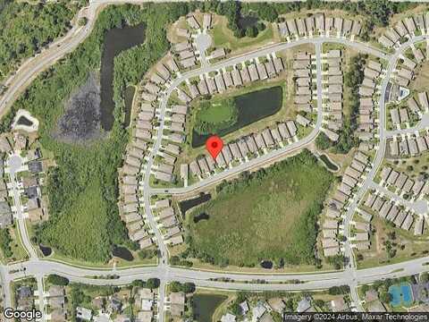 Plantain, HOLIDAY, FL 34691