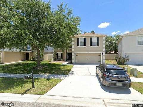 Mingo, LAND O LAKES, FL 34638