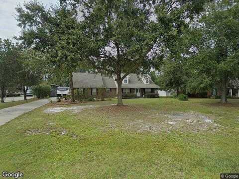 Wild Rose, GUYTON, GA 31312