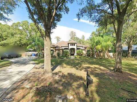 Plainview, ODESSA, FL 33556
