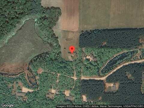 Dandelion, BRAINERD, MN 56401