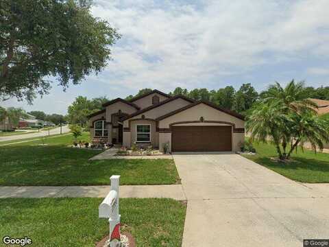 Chandron, ODESSA, FL 33556