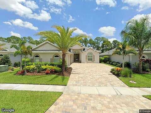 Borassus, NEW SMYRNA BEACH, FL 32168