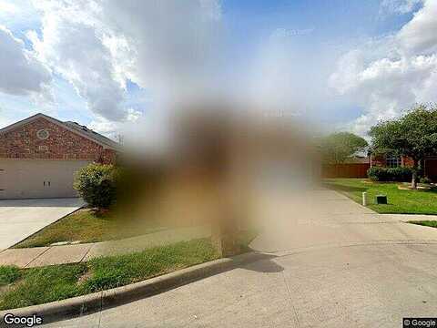 Bull, FORT WORTH, TX 76177