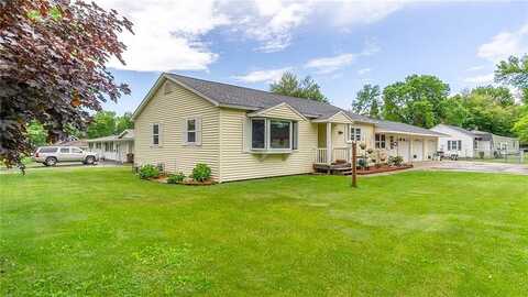 Oak, BLOOMER, WI 54724