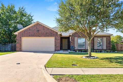 Autry, GUNTER, TX 75058