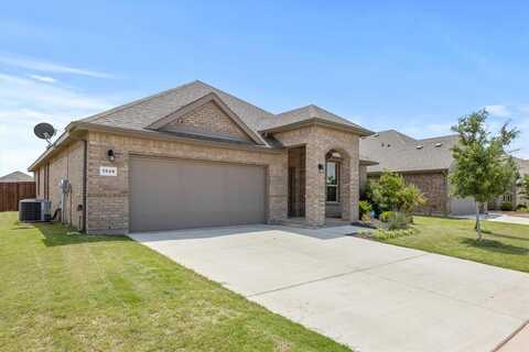 Seabiscuit, GRANBURY, TX 76049