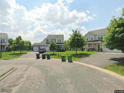 Hazel Nut, LAKEVILLE, MN 55044