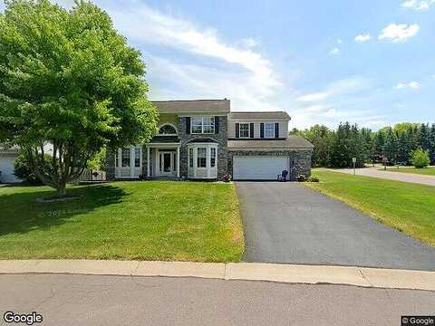 Elderberry, SAINT PAUL, MN 55124