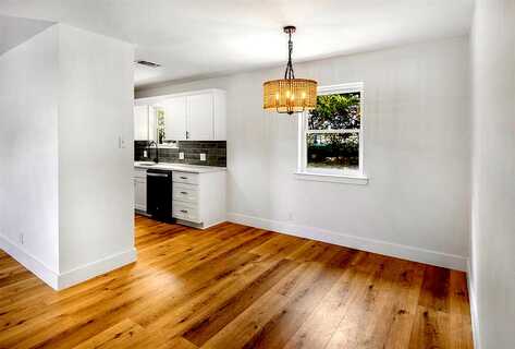Aster, GAINESVILLE, TX 76240