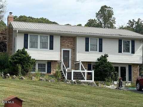 Green, ABINGDON, VA 24210