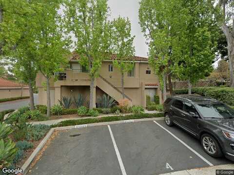 Cinnamon Teal, ALISO VIEJO, CA 92656