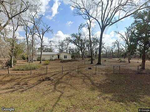 Cattail, MADISON, FL 32340