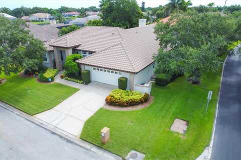 Coconut Palm, SAINT PETERSBURG, FL 33703