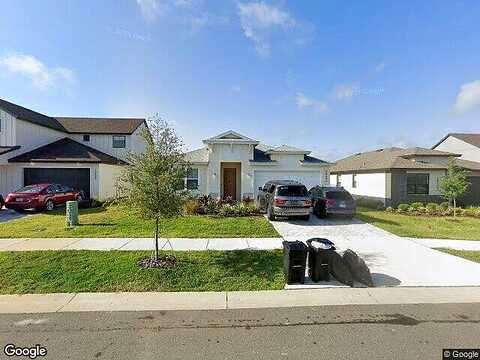 Palomino, DADE CITY, FL 33525