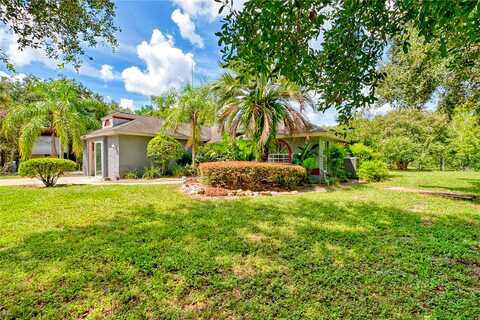 Leslye, EUSTIS, FL 32736