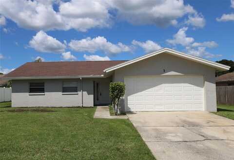 Pintail, SAFETY HARBOR, FL 34695