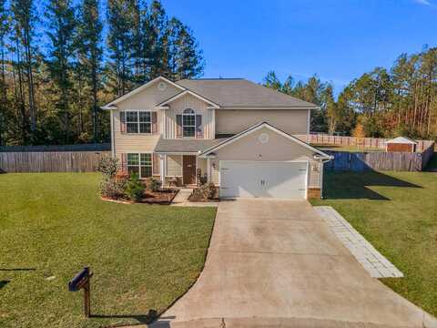 Pine View, LUDOWICI, GA 31316