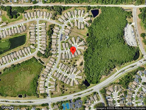 Grey Dove, HOLIDAY, FL 34691