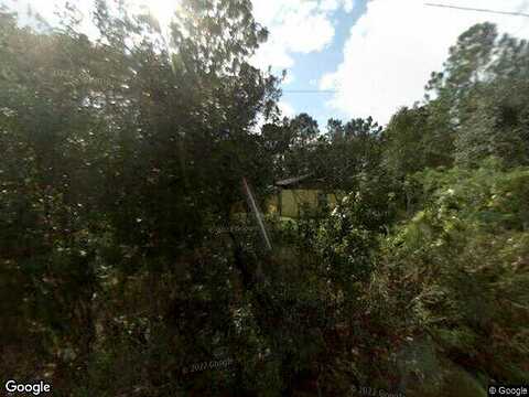 Pine Tree, ODESSA, FL 33556