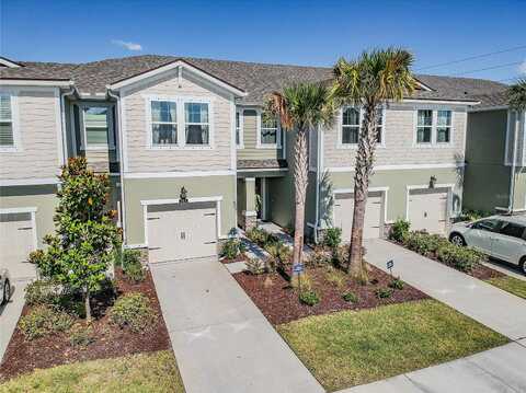 Stella Moon, LUTZ, FL 33558