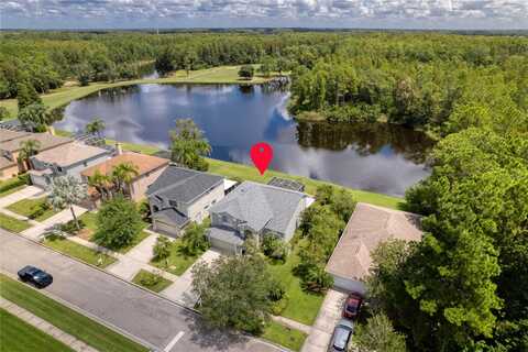 King James, ODESSA, FL 33556