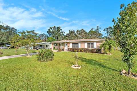 Mimosa, PLANT CITY, FL 33563