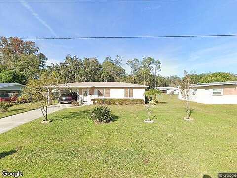 Mimosa, PLANT CITY, FL 33563