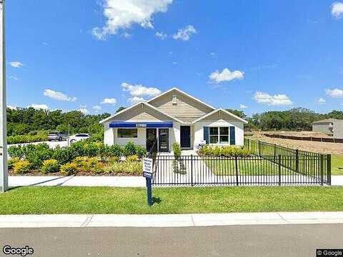 Mylion, SPRING HILL, FL 34610
