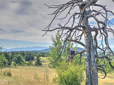 Buffalo Ridge, COMO, CO 80432