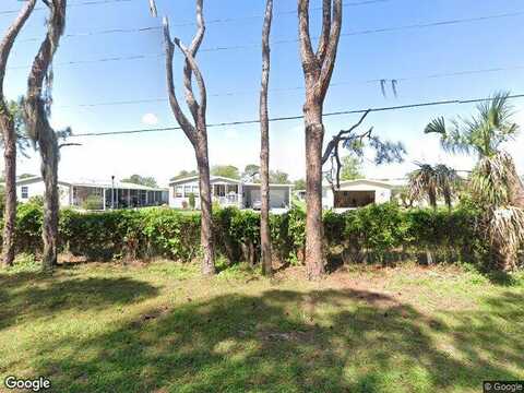 Sago Palm, LEESBURG, FL 34748