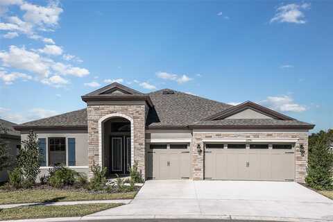 Steed Trace, LITHIA, FL 33547