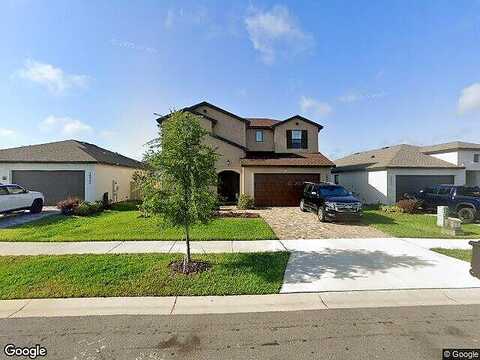 Palomino, DADE CITY, FL 33525
