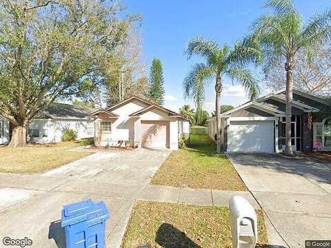 Coyote, BRANDON, FL 33511