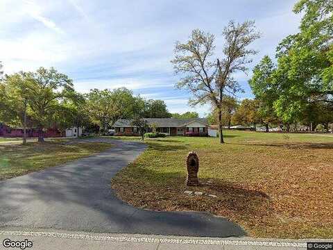 Limona, BRANDON, FL 33510