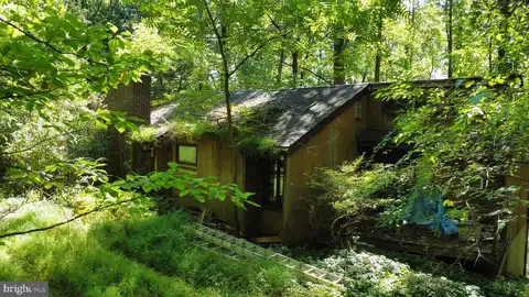 Chestnut, COOPERSBURG, PA 18036