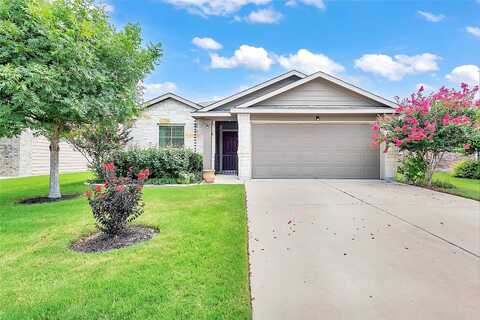 Moulins, GEORGETOWN, TX 78626