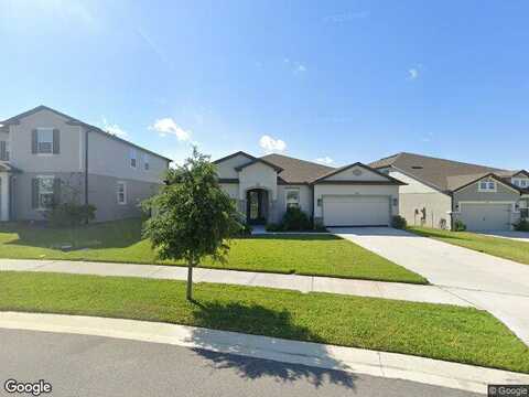 Ibis Grove, WESLEY CHAPEL, FL 33545