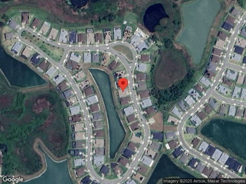 Sanders Tree, WESLEY CHAPEL, FL 33545