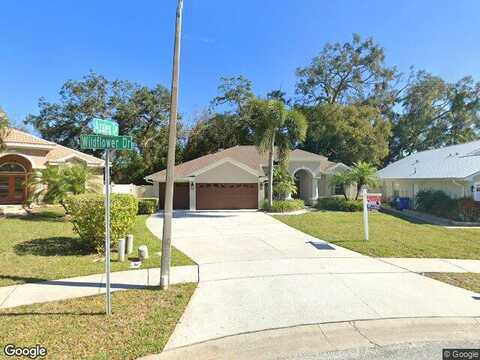 Wildflower, PALM HARBOR, FL 34683