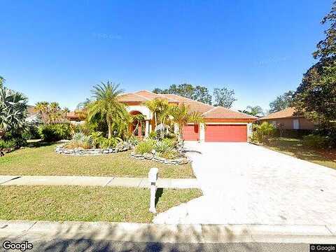 Mimosa, PALM HARBOR, FL 34685