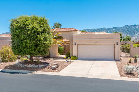 Blackfoot, TUCSON, AZ 85739