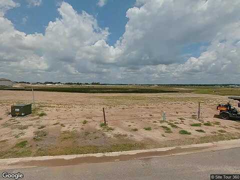 Powderpuff Mimosa, SAN ANTONIO, FL 33576