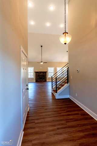 Willow Leaf, BUCHANAN, GA 30113