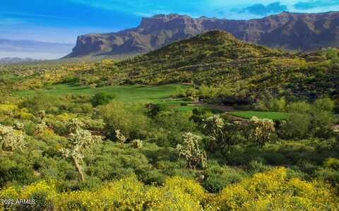 Eloisa, GOLD CANYON, AZ 85118
